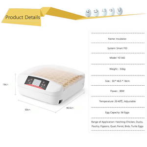 HHD 56 <strong>Eggs</strong> Full Automatic <strong>Fertilized</strong> Chicken <strong>Egg</strong> Incubator for <strong>Sale</strong> - Product Image 5