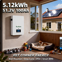Baterai LiFePO4 48V 5kWh 51.2V 100Ah untuk Sistem Surya Hibrida yang Dipasang di Dinding