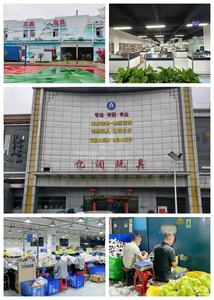 Porte-clés en peluche Samuel, animal de dessin animé, pendentif mignon, <span class=keywords><strong>jouet</strong></span> en peluche doux, échelle 1/12, accessoire unisexe tendance - Product Image 5