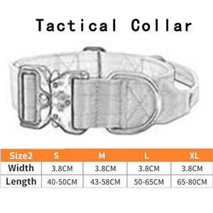 Hersteller Heavy Duty 1,5 Zoll 4-lagiges Nylon gewebe Frosch clip Verstellbarer Metall-D-Ring & Schnalle Haustier Hunde halsband - Product Image 4