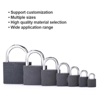 Serrures de porte à cadenas en acier de Type classique de haute qualité Serrures en fer de fabricant chinois étanches populaires et abordables