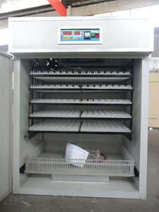 Entièrement automatique incubateur d'oeufs ZH-880 pour couver sur 900 oeufs <span class=keywords><strong>de</strong></span> poule/meilleure vente d'incubateur <span class=keywords><strong>de</strong></span> <span class=keywords><strong>volaille</strong></span> - Product Image 2
