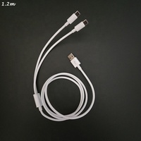 Vente en gros de supermarchés câbles de données USB C 2 en 1 à 8 broches