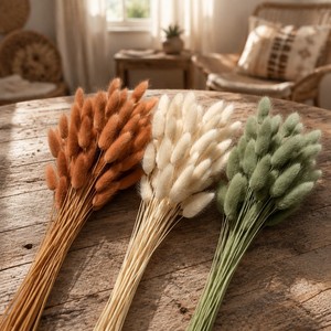 Bouquet de fleurs séchées naturelles de <span class=keywords><strong>Lagurus</strong></span> Ovatus (Queue de Lapin) pour décoration bohème, mariage, arrangement de vase – Vente en gros - Product Image 1