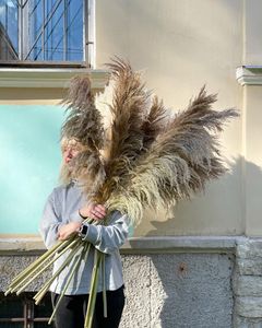 ARGE-Hierba de las pampas secas naturales para arco de boda, decoración de estilo bohemio de 120cm de alto, gran oferta - Product Image 4