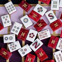 Ensemble de Mahjong américain en acrylique de la collection HAUS rouge luxueux, jeu de table élégant, cadeau adapté aux joueurs, casino, jeu d'argent