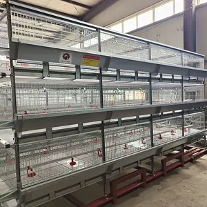 Used automatic H type broiler chicken cage for sale