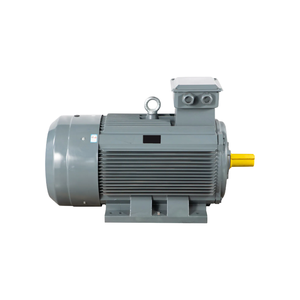 Moteur triphasé Dellette IE4 160KW 215HP 6P 3000RPM 380V 400V 460V B3 en fonte pour propulsion marine, moteur à induction auxiliaire - Product Image 6