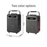 Amplificador de Bajos Profesional de 100W, Altavoz para Guitarra con Soporte para Tarjeta de Memoria Inalámbrica, Caja de Sonido Portátil para Escenario y Karaoke KTV