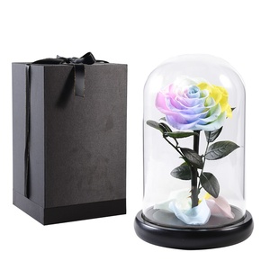 Aniversario, <span class=keywords><strong>Bella</strong></span> <span class=keywords><strong>bestia</strong></span> romántica, flor para siempre, encantada, Mini cúpula <span class=keywords><strong>de</strong></span> cristal, rosas eternas que dura más <span class=keywords><strong>de</strong></span> un año - Product Image 1