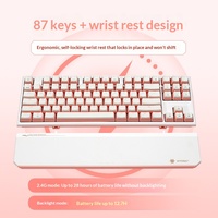 Clavier mécanique sans fil HEXGEARS X3 Kailh BOX Switch PBT Keycaps 2300mAh Anti-Ghosting Gaming Office 87 touches 80 %