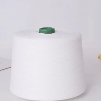 Fil 100% polyester, filé à anneaux, pour tissage et tricotage, Ne 20/2 30/2 32/2 40/2 42/2, fil de polyester filé