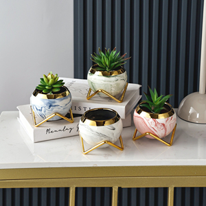 Creatività <span class=keywords><strong>piante</strong></span> succulente <span class=keywords><strong>vasi</strong></span> <span class=keywords><strong>Mini</strong></span> Ice Crack Glaze ceramica vaso da fiori giardino casa Zakka Decor Craft Flower Pot - Product Image 2