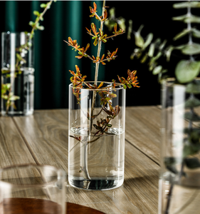 Venta al por Mayor de Floreros Cilíndricos de Vidrio Transparente en Varios Tamaños para Decoración de Bodas, Hogar y Cafeterías - Product Image 2