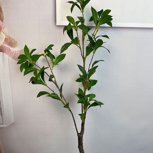Foglie Artificiali di Pieris Japonica (Campanula) Eco-Friendly per Decorazione Albero di Ringraziamento, Alta Simulazione, Vendita all'Ingrosso per Sala Espositiva - Product Image 4