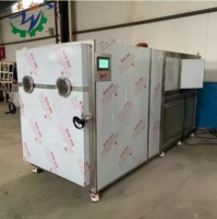 Automatische groente- en fruitvriesdroogmachine motor voedselveilig hoge efficiëntie energiebesparend voor bloemen op maat gemaakt