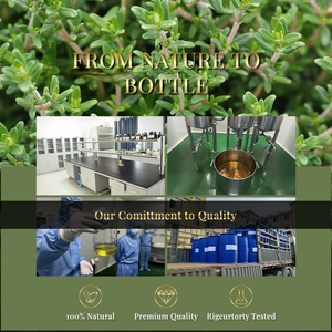 Huile Essentielle de Thym 100% Pure, Naturelle et Biologique en Gros, Marque Privée pour Soins de la Peau et Massage Corporel - Product Image 6