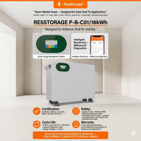 Batterie murale solaire 51,2 V 314 Ah 16,08 kWh LiFePO4 pour l'énergie domestique montée au mur et la sauvegarde d'urgence