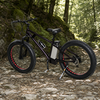 Vélo électrique à pneus larges de 26 pouces, 48 V 250 W, cadre en aluminium, pour la vente en gros
