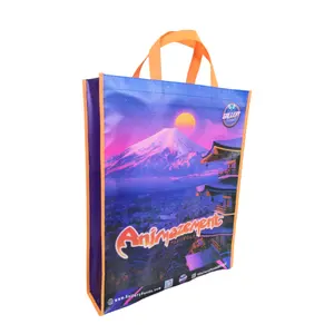 Factory sale eco friendly laminated non-woven bag Full color printing Reusable Non Woven Shopping Bag With Logo