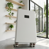 Système de stockage de batterie solaire hors réseau E-16 10KWh 200Ah 51.2V avec une puissance de sortie de 10-20Kw