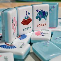Ensemble de Mahjong Américain de Luxe Gravé Teal Bam Bird, Tuiles de Mahjong Personnalisées Double Couche Bleu Clair Blanc à Motifs Floraux et Papillons