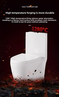 Offre Spéciale : Ensemble WC Monobloc en Céramique avec Siphon en S et Siphon en P pour Salle de Bain - Articles Sanitaires