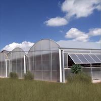 Grande serre monocouche en polycarbonate avec structure en acier galvanisé à chaud multi-travée pour l'agriculture hydroponique