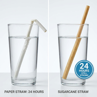 Pailles en canne à sucre de grand diamètre (8 mm, 12 mm) pour smoothies - Pailles biodégradables en bagasse pour bubble tea et jus épais