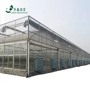 mushroom greenhouse equipment