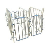 Caja de cerdito galvanizado, cajas de gestación para cerdo