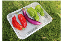 Réchaud jetable avec charbon de bois pour barbecue instantané personnalisé