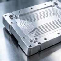 Plaque de refroidissement liquide microcanal en aluminium 6061 usinée sur mesure par CNC, bloc de refroidissement à eau pour GPU, pour serveur IA, centre de données AIDC Direct