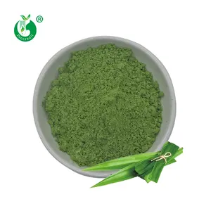 Hersteller Großhandel Pure Organic Pandan Leaf Powder
