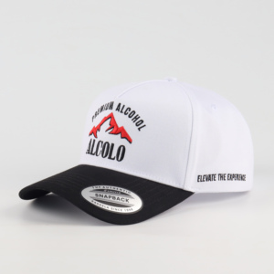 Casquettes personnalisées avec logo brodé en relief 2D, casquettes brodées bicolores, casquettes de baseball personnalisées en gros de haute qualité - Product Image 2