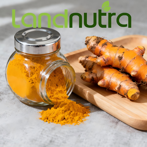 Pasokan Pabrik Harga Terbaik Pigmen Alami Ekstrak Akar Kunyit Bubuk Kurkumin Ekstrak Kunyit Kemurnian Tinggi - Product Image 4