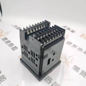 DC2800-EE-0L0-100- 000-00-0ตัวควบคุมการเผาไหม้สำหรับจุด20 - Product Image 6