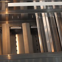 Barbecue d'extérieur haut de gamme, robuste et moderne, en acier inoxydable SUS SS304, intégré, au propane, GPL ou gaz naturel