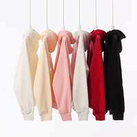 Vente en gros OEM Personnalisé Écologique 500g Sweat à capuche en polaire épais pour homme, avec doublure, logo sérigraphié et broderie