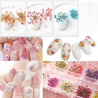 Geverifieerde Droge Bloem Fabrikant Mini Natuurlijke Echte Gedroogde Bloem Nail Art
