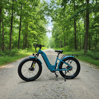 Fournisseur OEM, vélo de montagne électrique personnalisé à longue portée, 750W, 48V, 26 pouces, pour activités de plein air