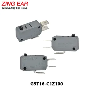 Zing Ear G5T 25T150 ricambi per scaldabagno a Gas microinterruttore microinterruttore ad azione rapida