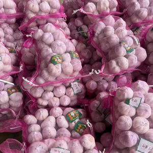 Aglio Fresco di Nuova Raccolta Cinese, Colore Rosso, Verdure Biologiche, Fornitore di <span class=keywords><strong>Polvere</strong></span> d'Aglio, Container da 40 Piedi, Esportazione di Aglio negli Emirati Arabi Uniti - Product Image 6