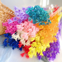Bunga Nigella Star Anise Dekoratif Multi Warna Abadi untuk Buket, Dekorasi Meja Rumah, Pernikahan, DIY, Pengisi Bunga