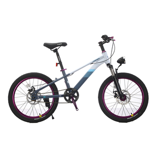 NOUVEAU Prix pas cher pour les enfants 20/22 pouces en alliage d'aluminium Student Mountain Bike MTB Mountain Bicycle. - Product Image 2