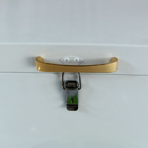 Vélo cargo électrique à 3 roues pour adultes, à chargement frontal, tricycle électrique mobile, vélo <span class=keywords><strong>hollandais</strong></span> avec boîte en métal - Product Image 3