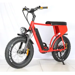 إطار حديد MTB ebike 48v 13ah سبائك الألومنيوم الليثيوم 20*4 الإطارات الدهنية