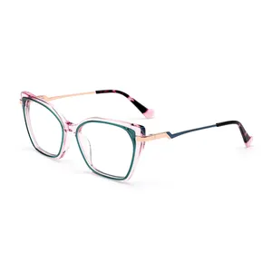 2024 Cat Eye Transparent Acetate Frame Fashion Glasses Frame Men's And Women's Colorful Optical Glasses Frame