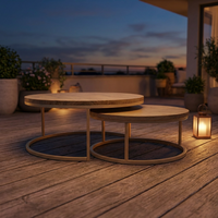 Table basse 2-en-1 pour la maison, 20*20*1.0, en tube de fer thermolaqué, MDF stratifié 40mm avec décalcomanie, mobilier de salon