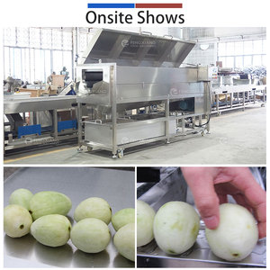 Machine à éplucher les pommes de terre, les radis, les oignons et le taro de grande taille LXTP-5000 avec brosse à rouleaux en sable, capacité 1-1,5T/H - Product Image 4